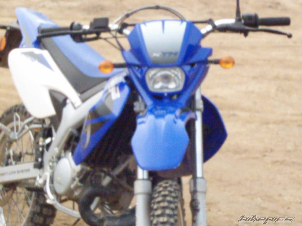 Photo 291719