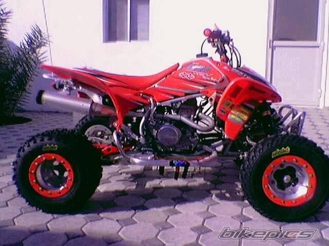 Photo 291726