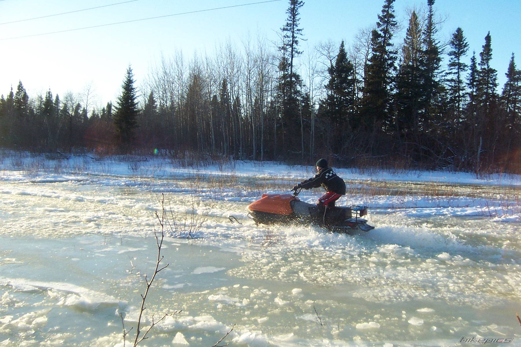 Photo 291755