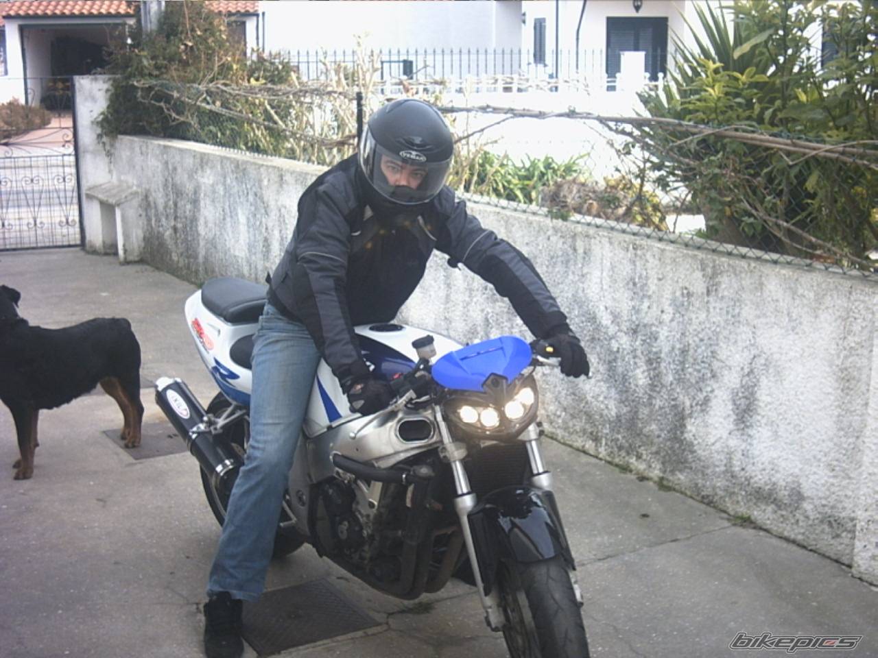 Bike Photo 291832