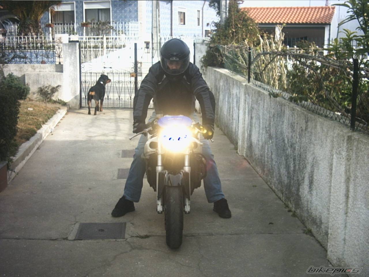 Bike Photo 291833