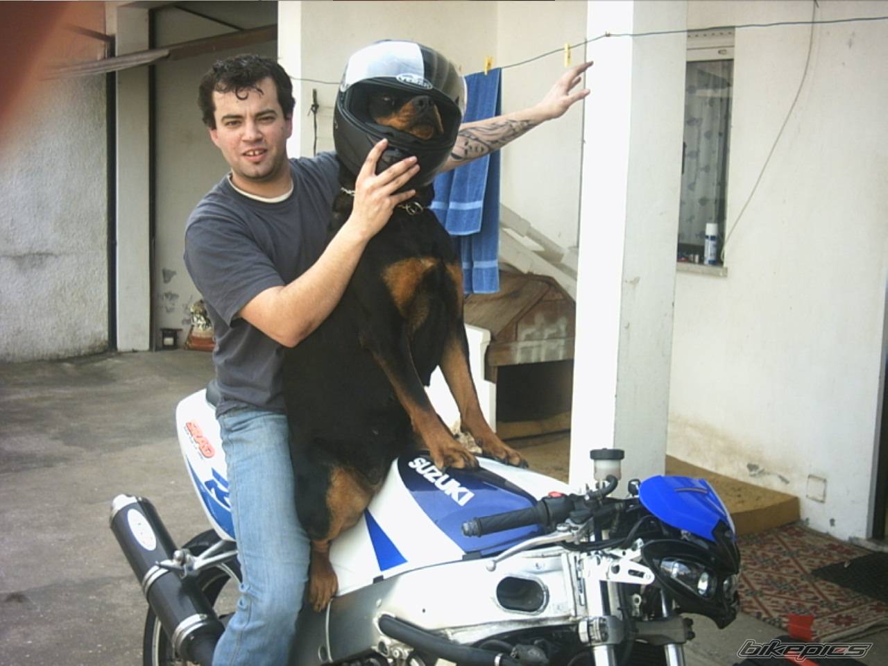 Bike Photo 291834