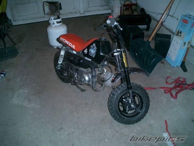 Photo 291837