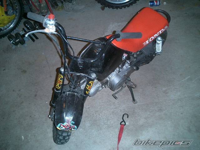 Photo 291838