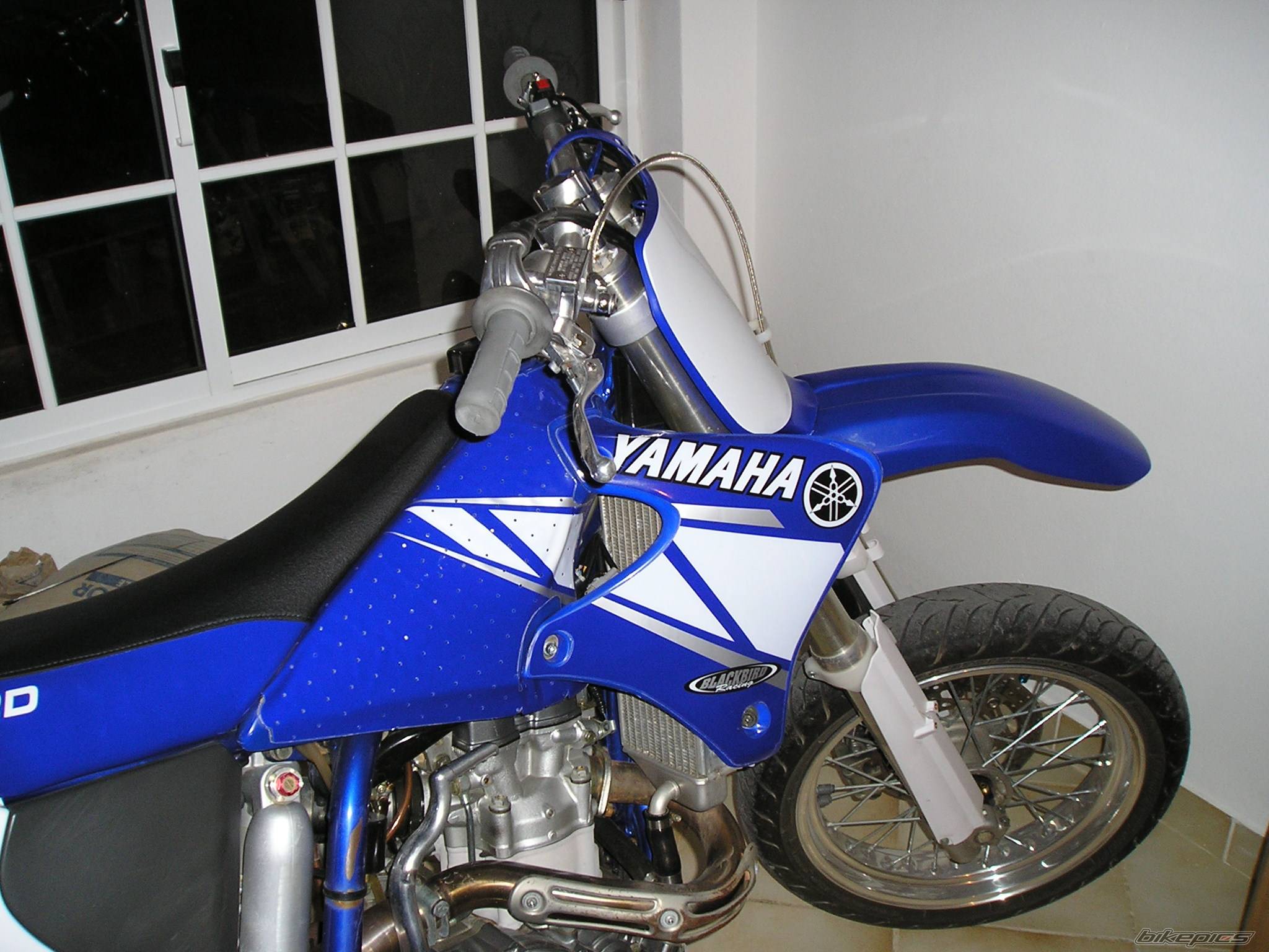 Photo 291842
