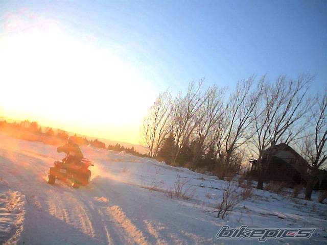 Photo 291853
