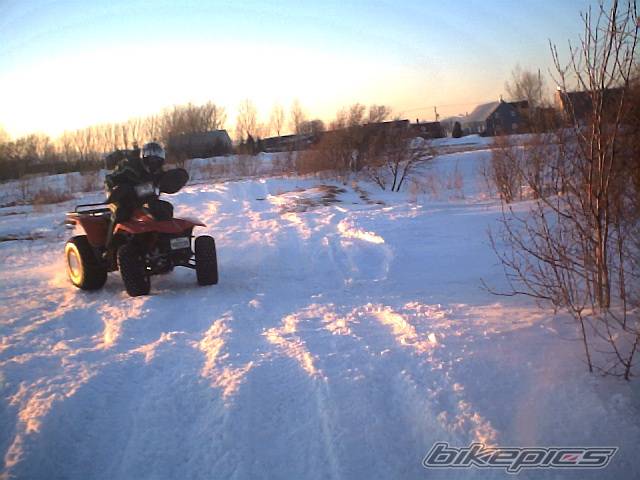 Photo 291854