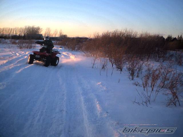 Photo 291858