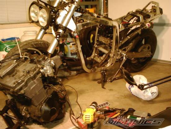 Photo 291863