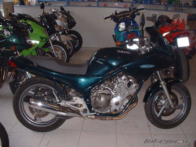 Photo 291868