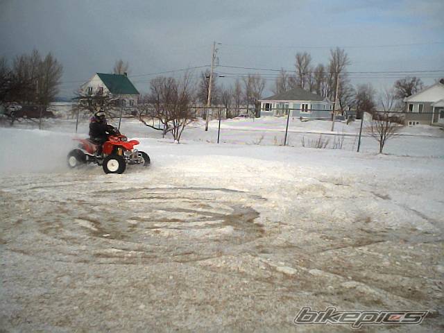 Photo 291872