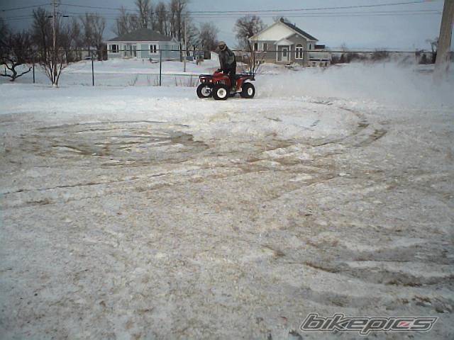 Photo 291876