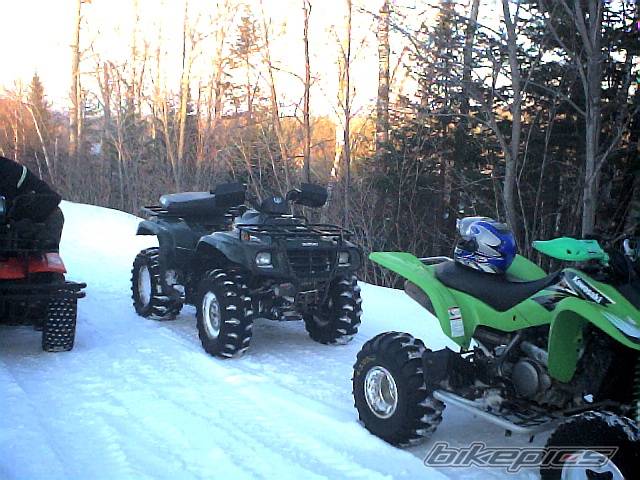 Photo 291897