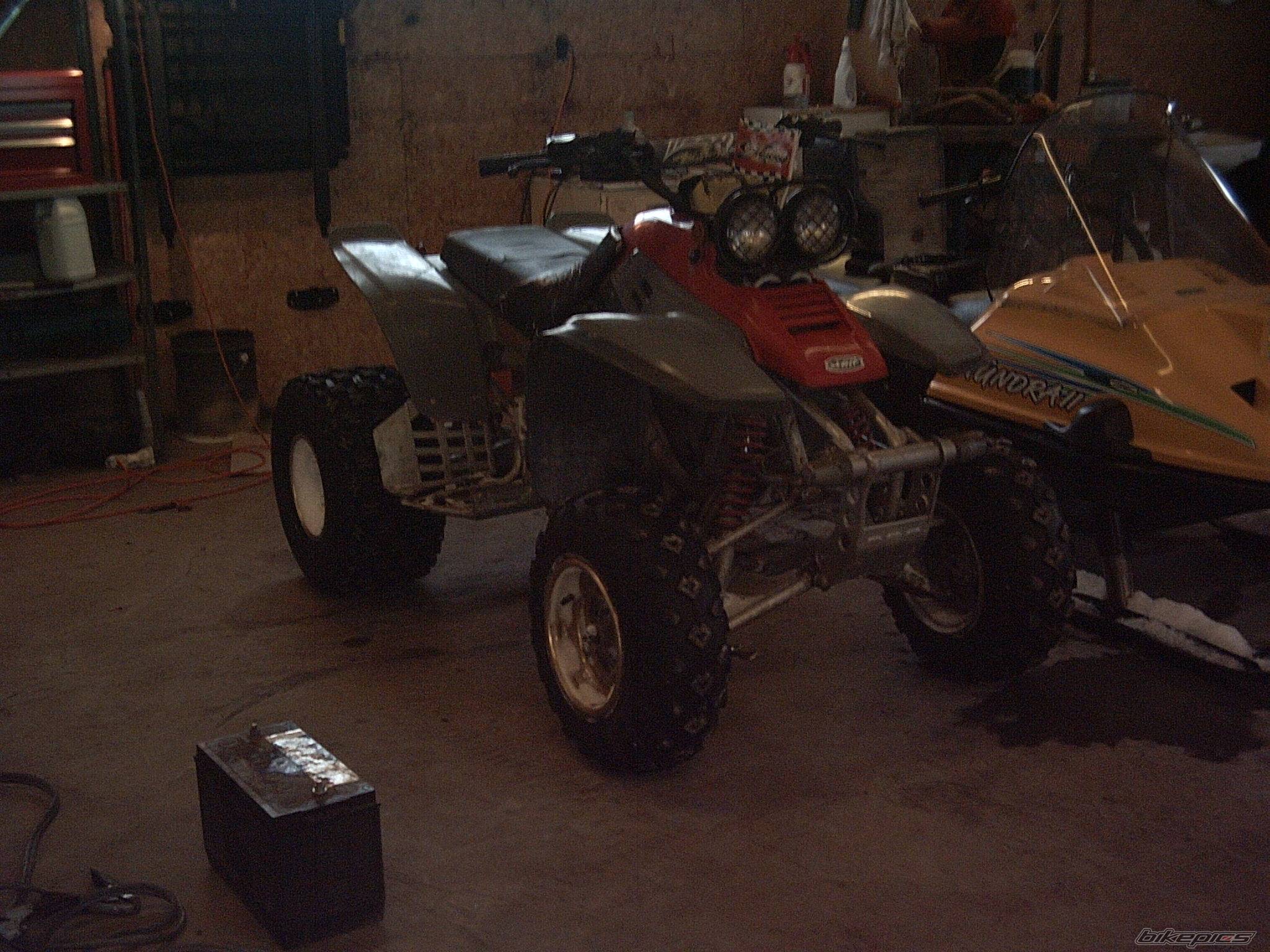 Photo 291905