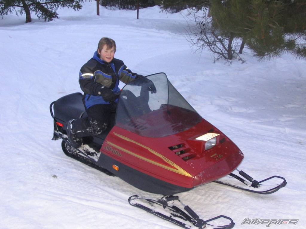 Photo 291910