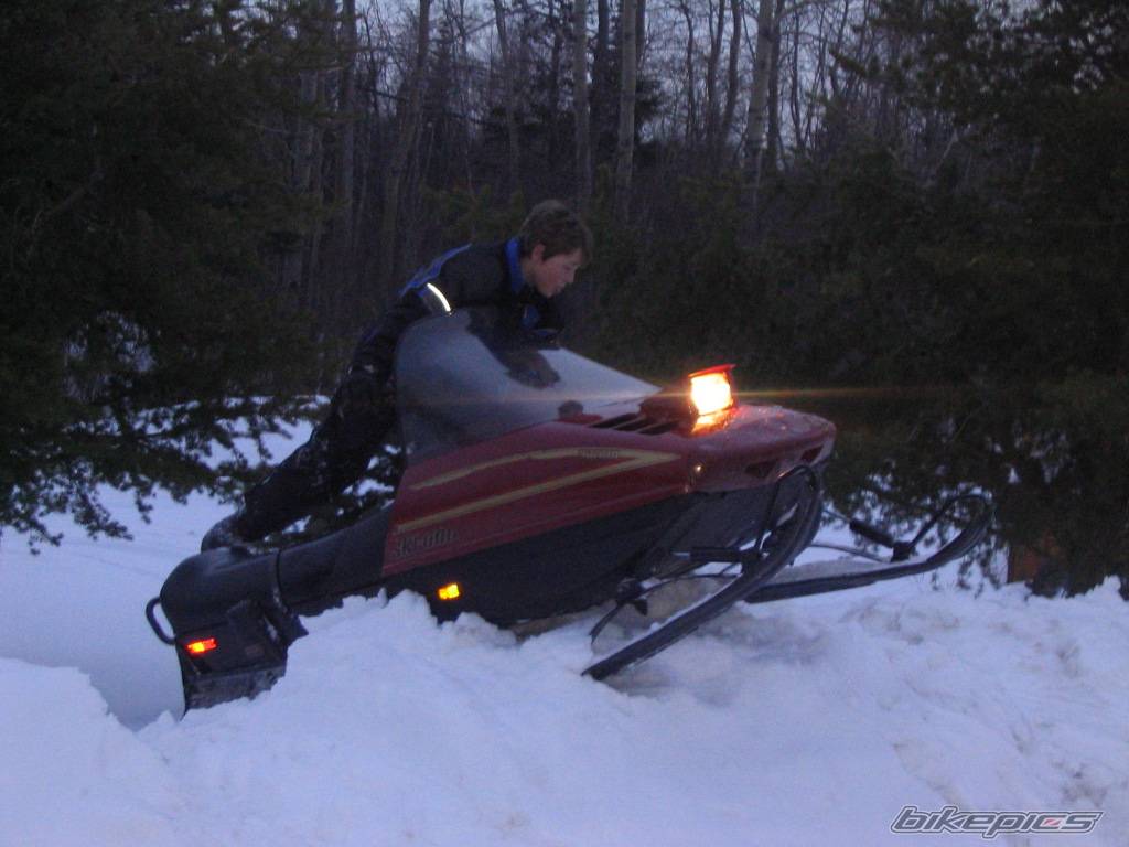 Photo 291911