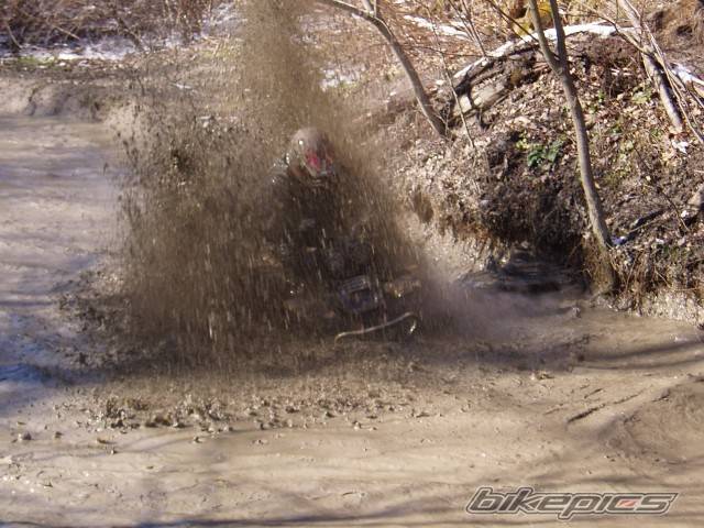 Photo 291942