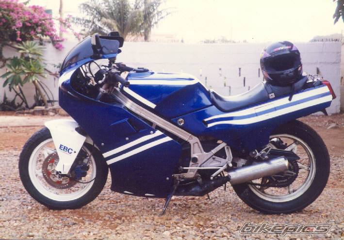 Photo 291977