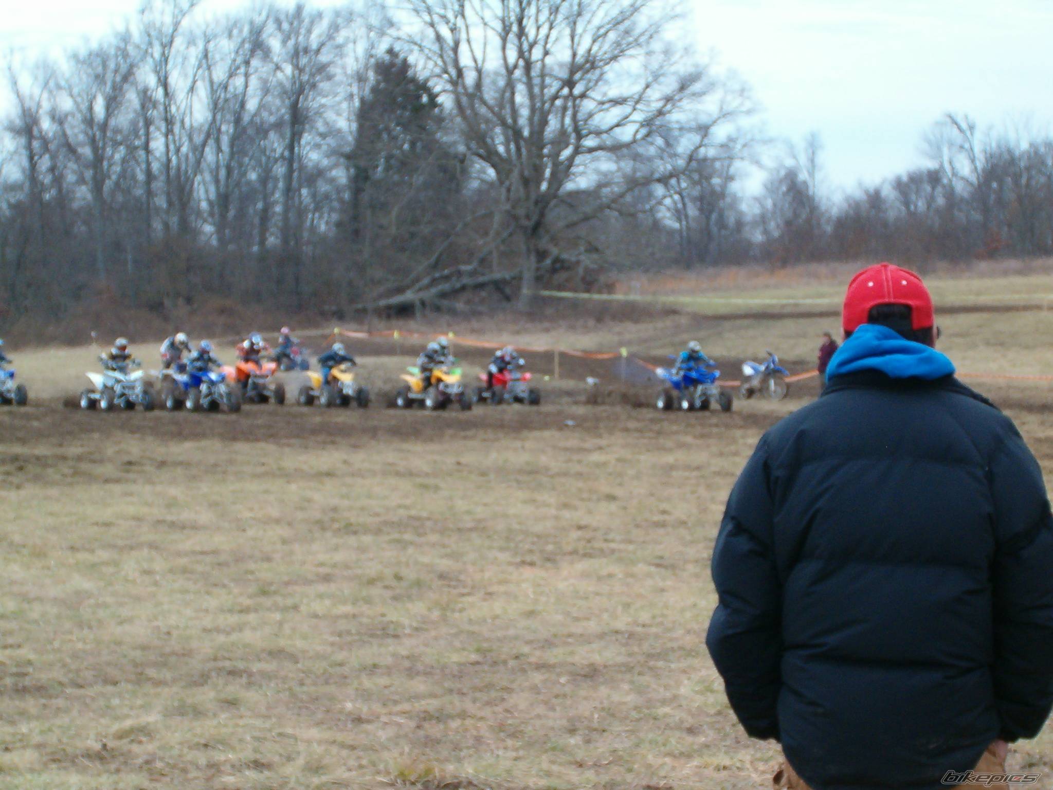 Photo 292005