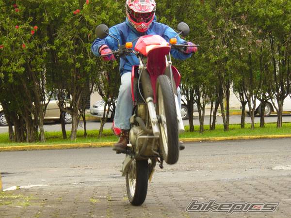 Photo 292028