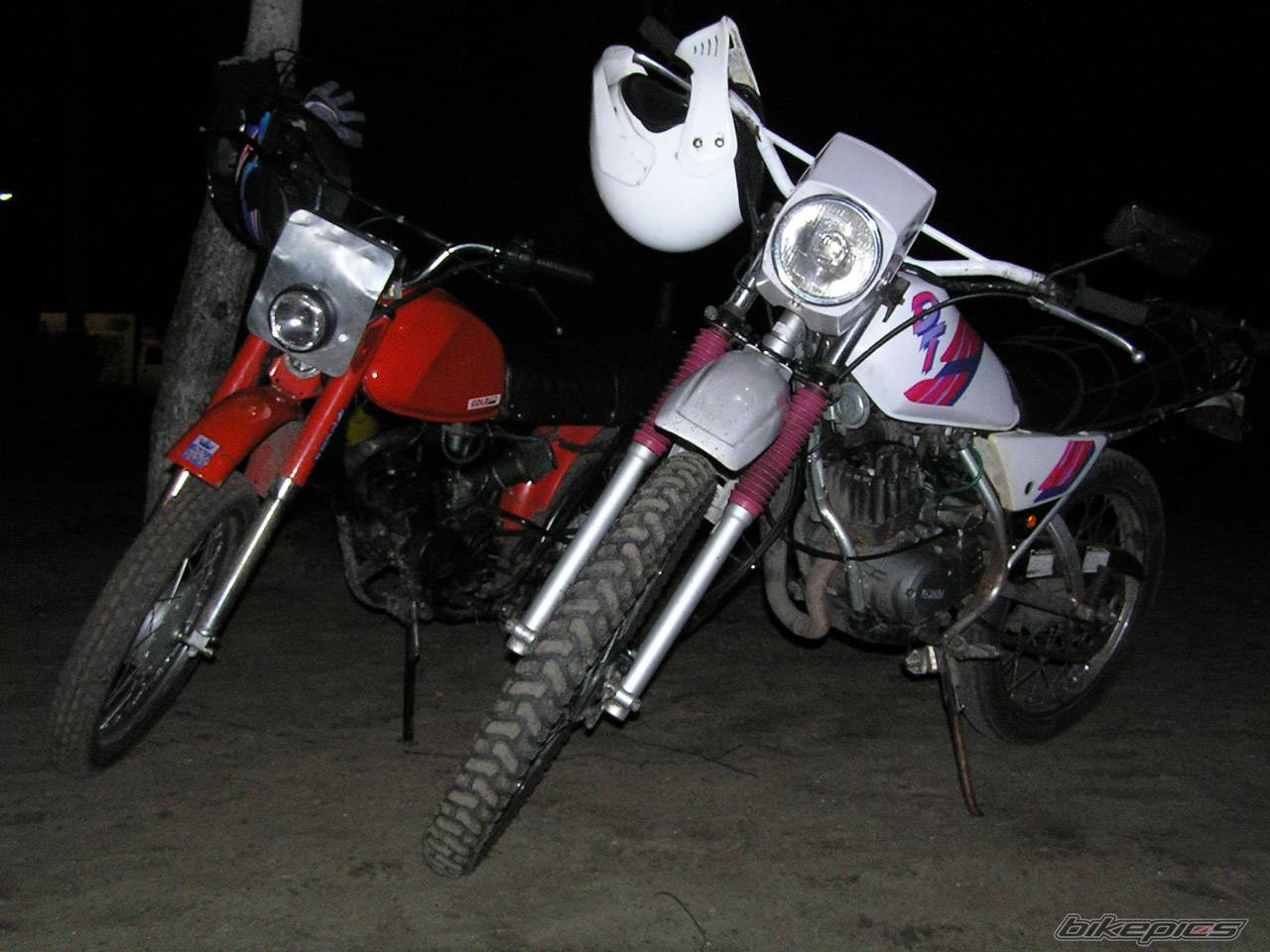 Photo 292051