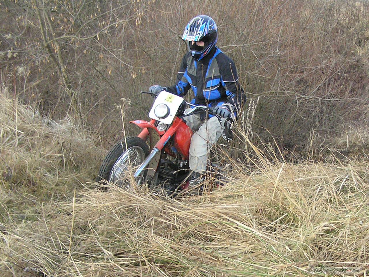 Photo 292058