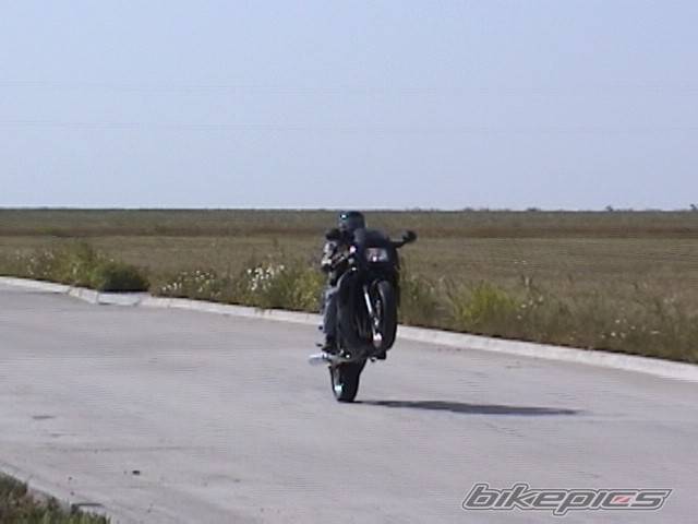 Photo 29206