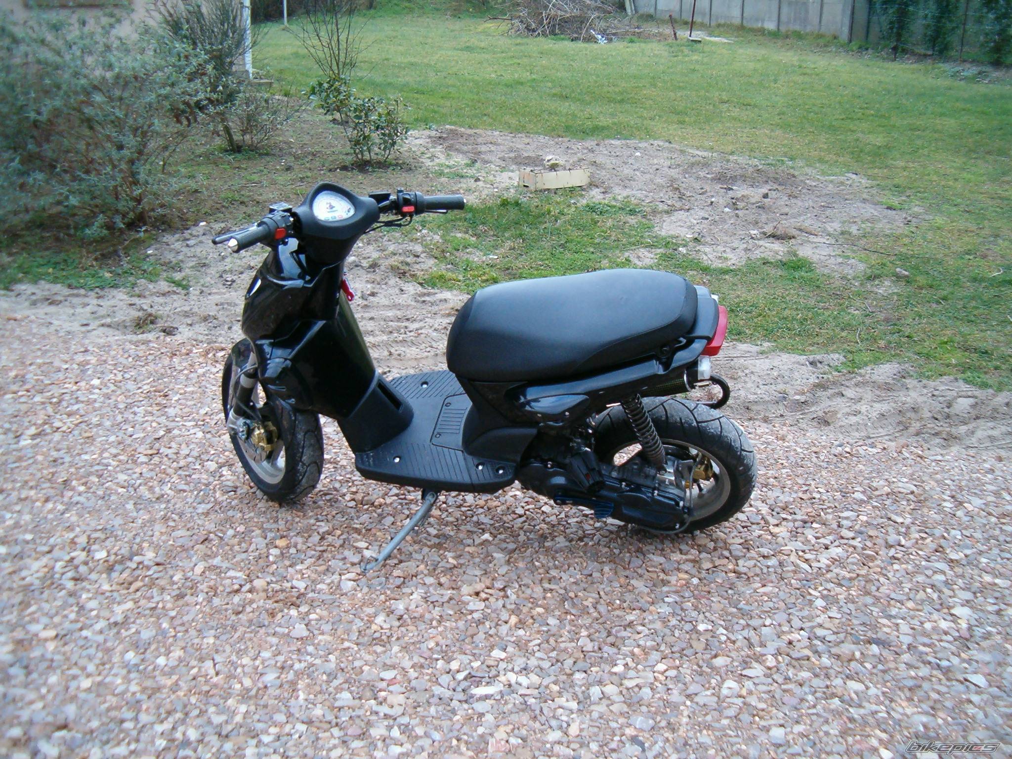 Photo 292083