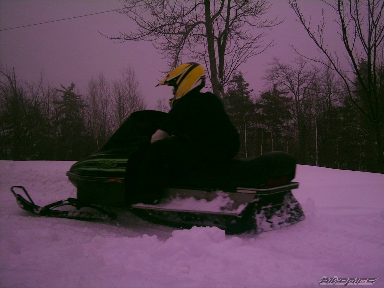 Photo 292157