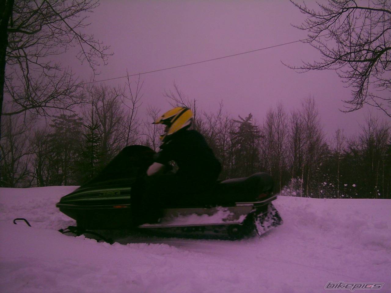 Photo 292160