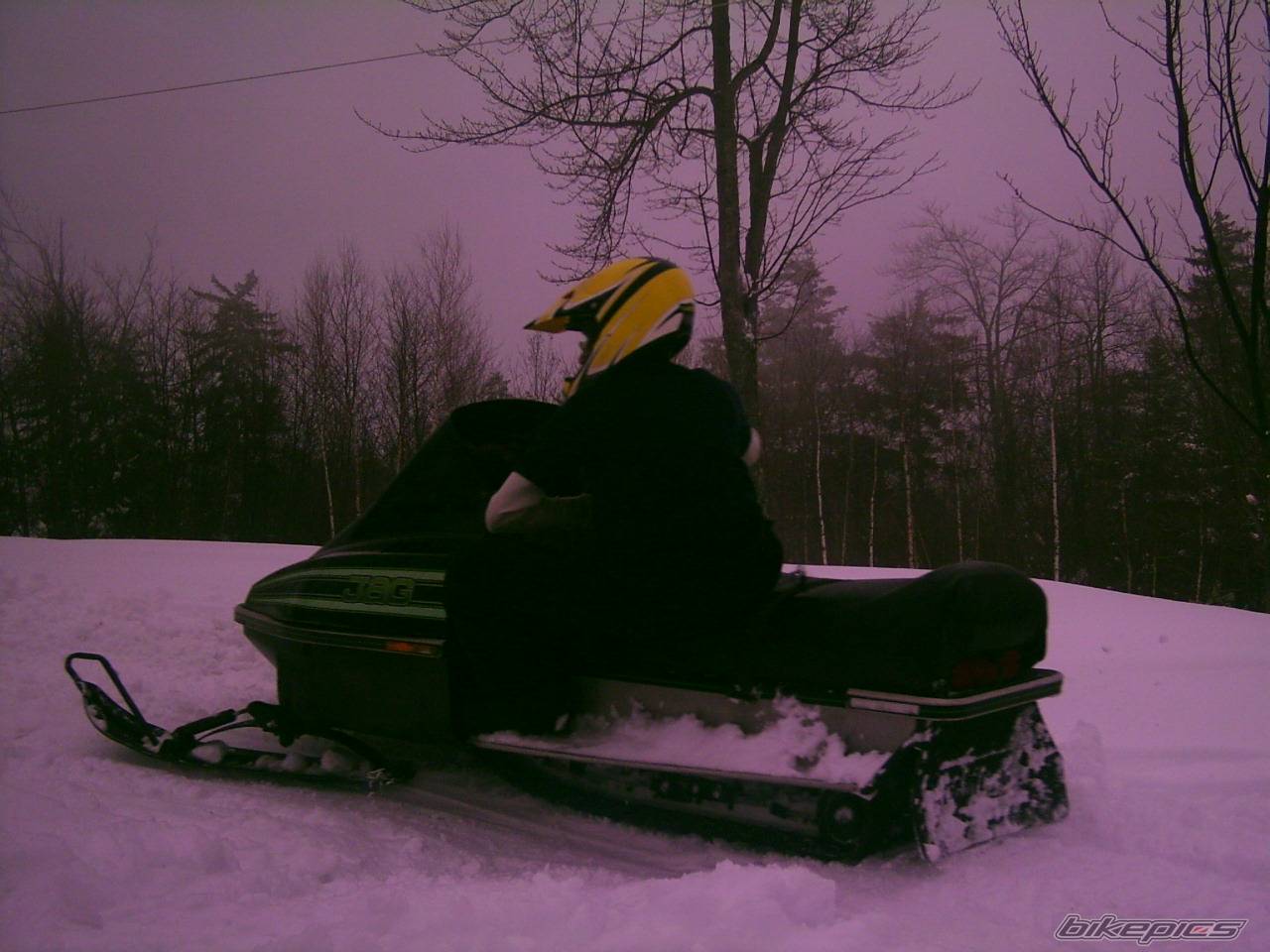 Photo 292161