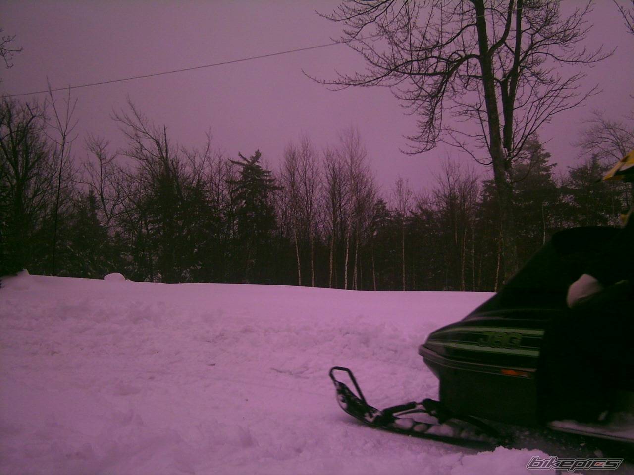 Photo 292162