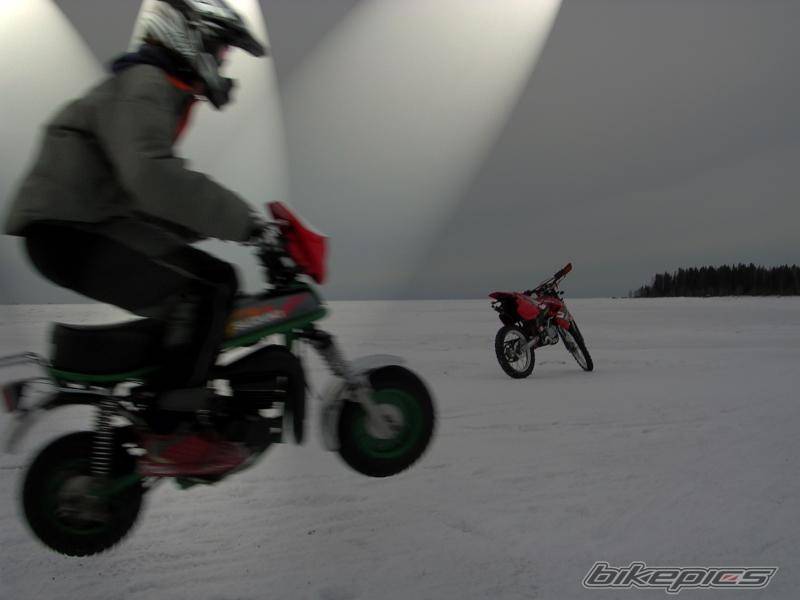 Photo 292197