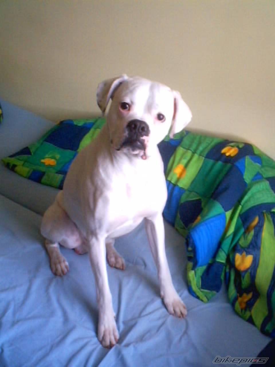 Photo 292205