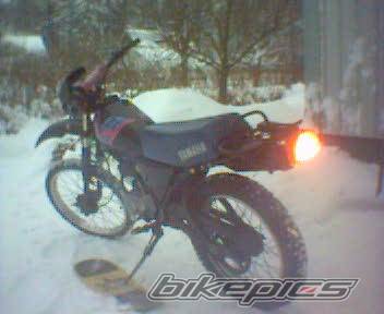 Photo 292255