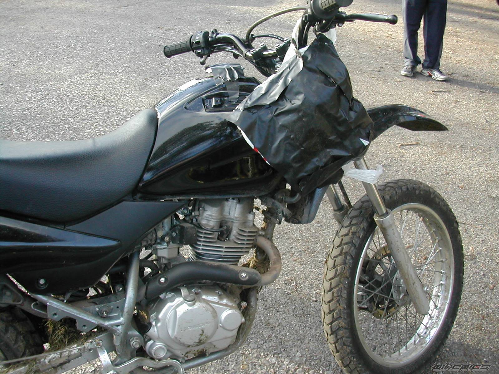 Photo 292302