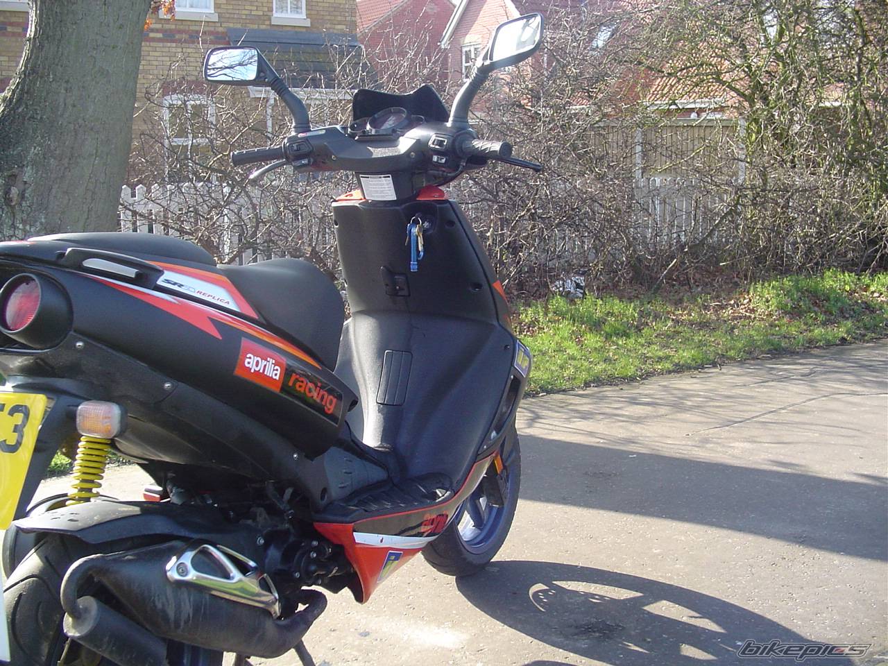Photo 292322