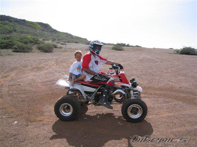 Photo 292379
