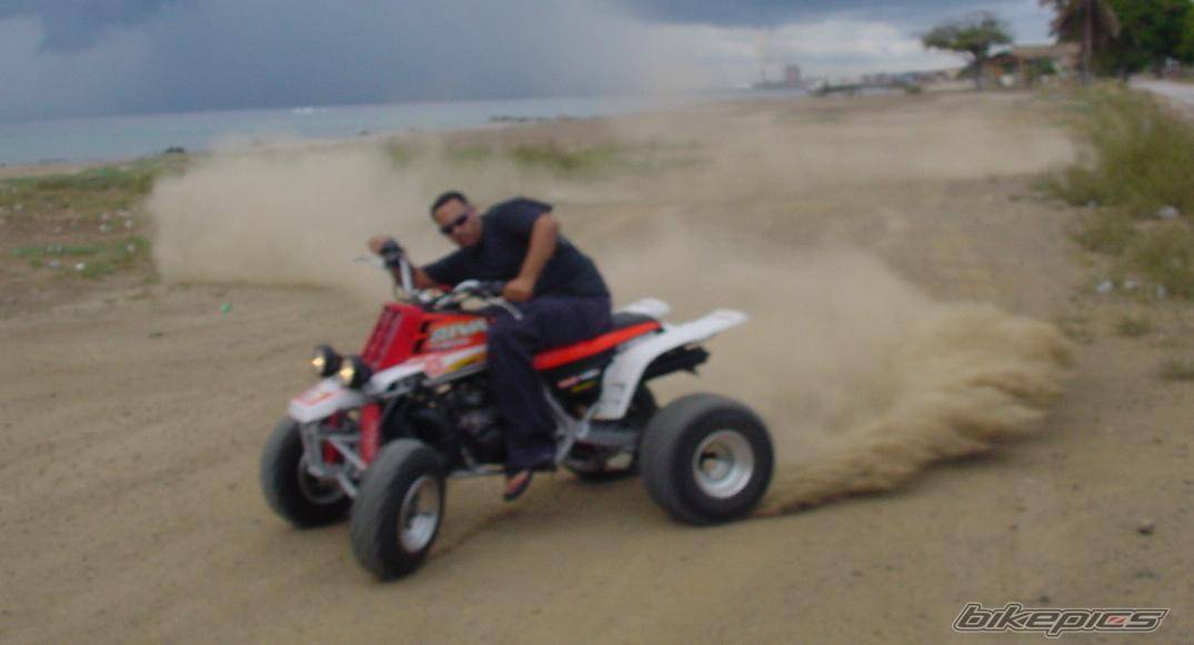 Photo 292382