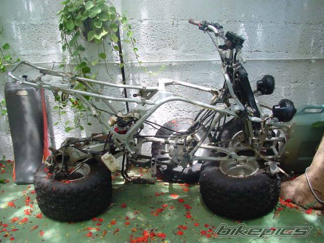 Photo 292384