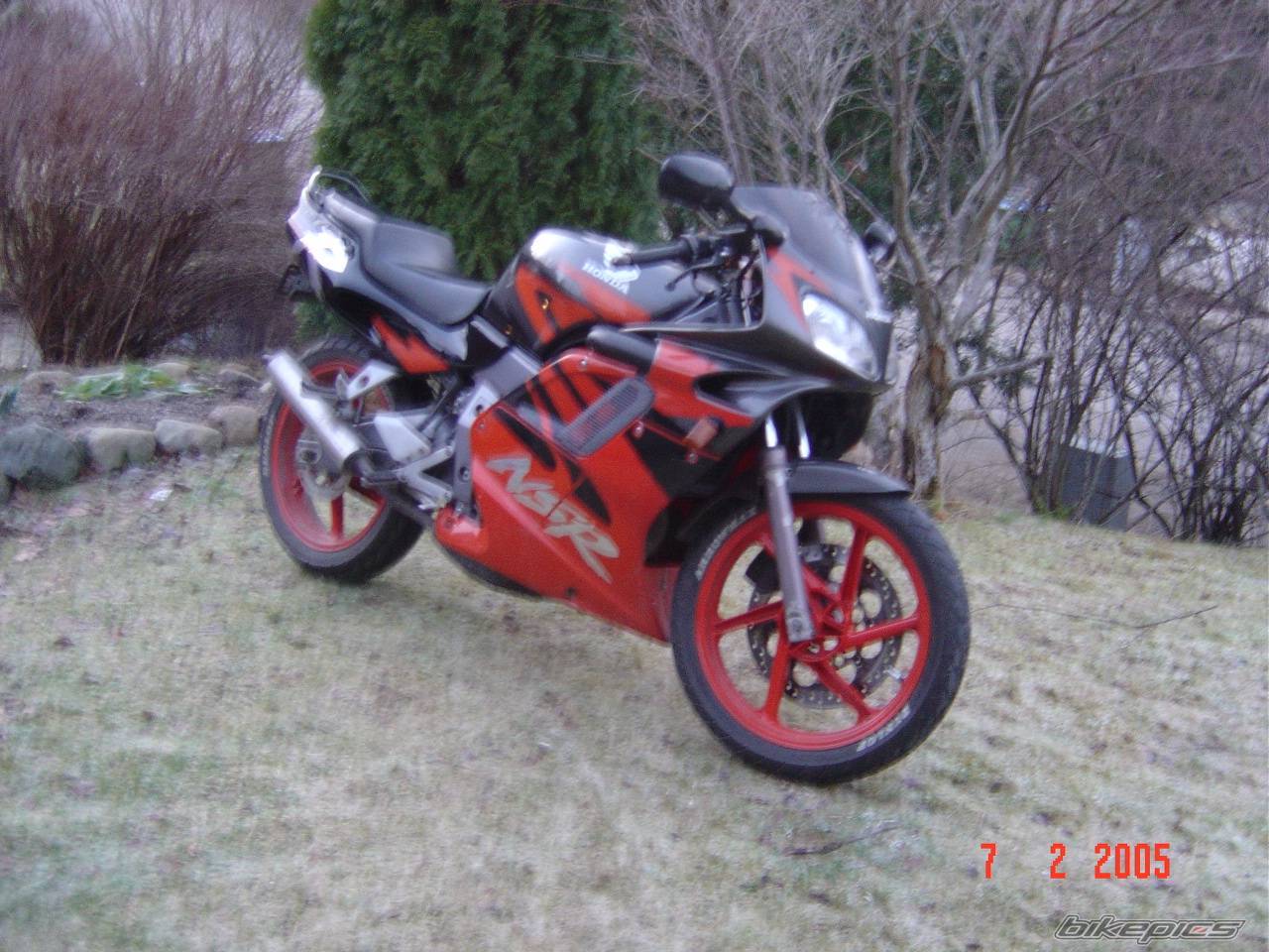 Photo 292455