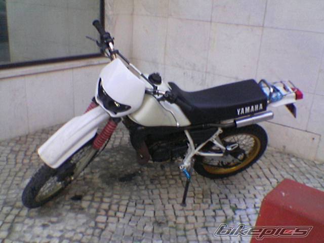 Photo 292460