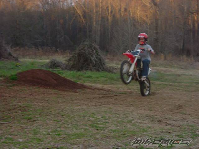 Photo 292469