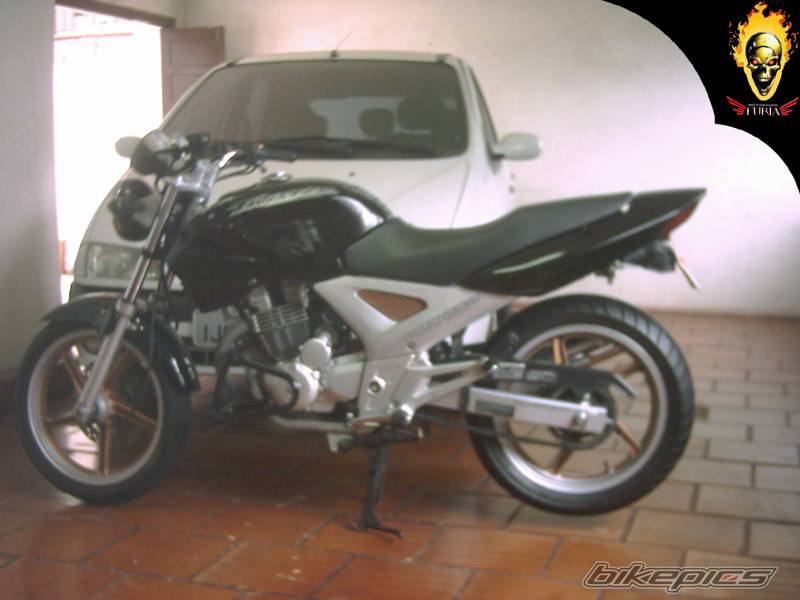 Photo 292470