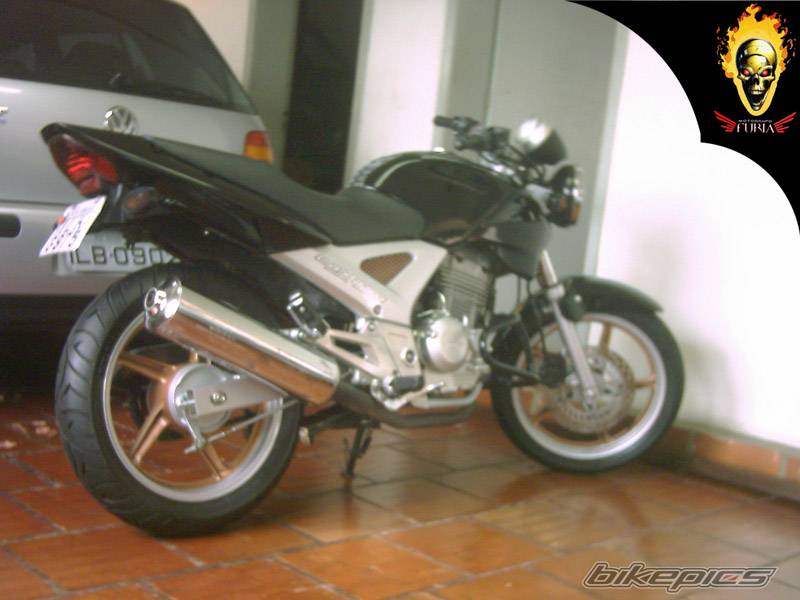 Photo 292473