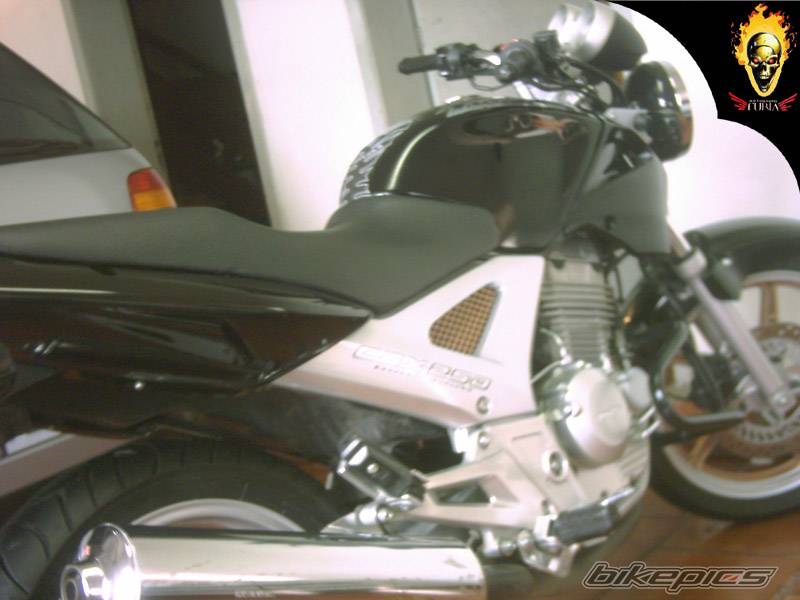 Photo 292478