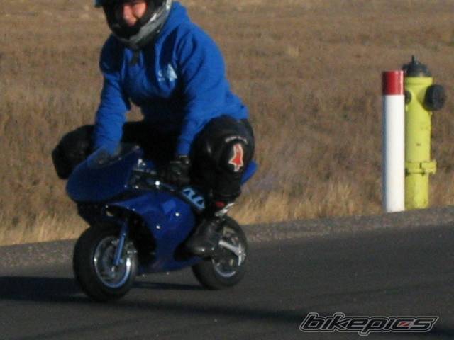 Photo 292525