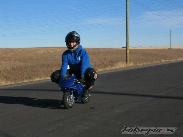 Photo 292527