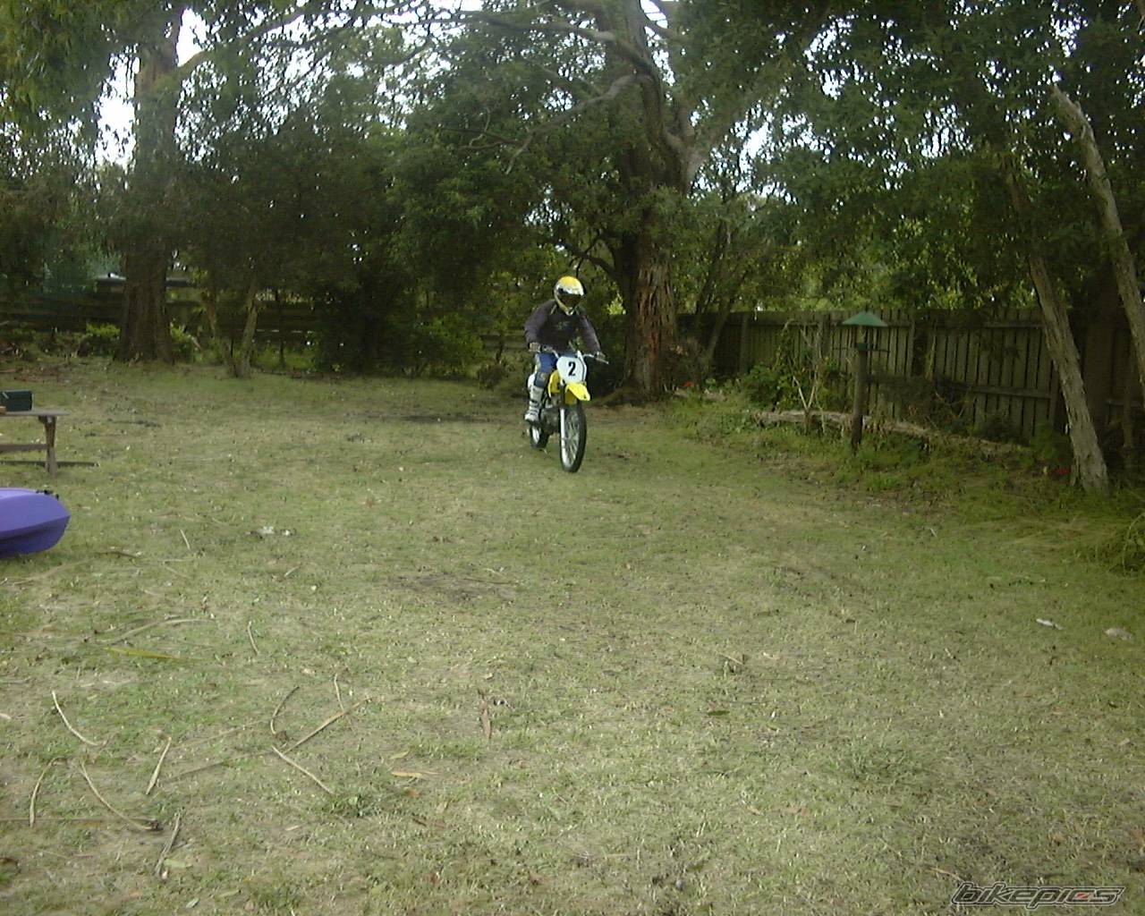 Photo 292609