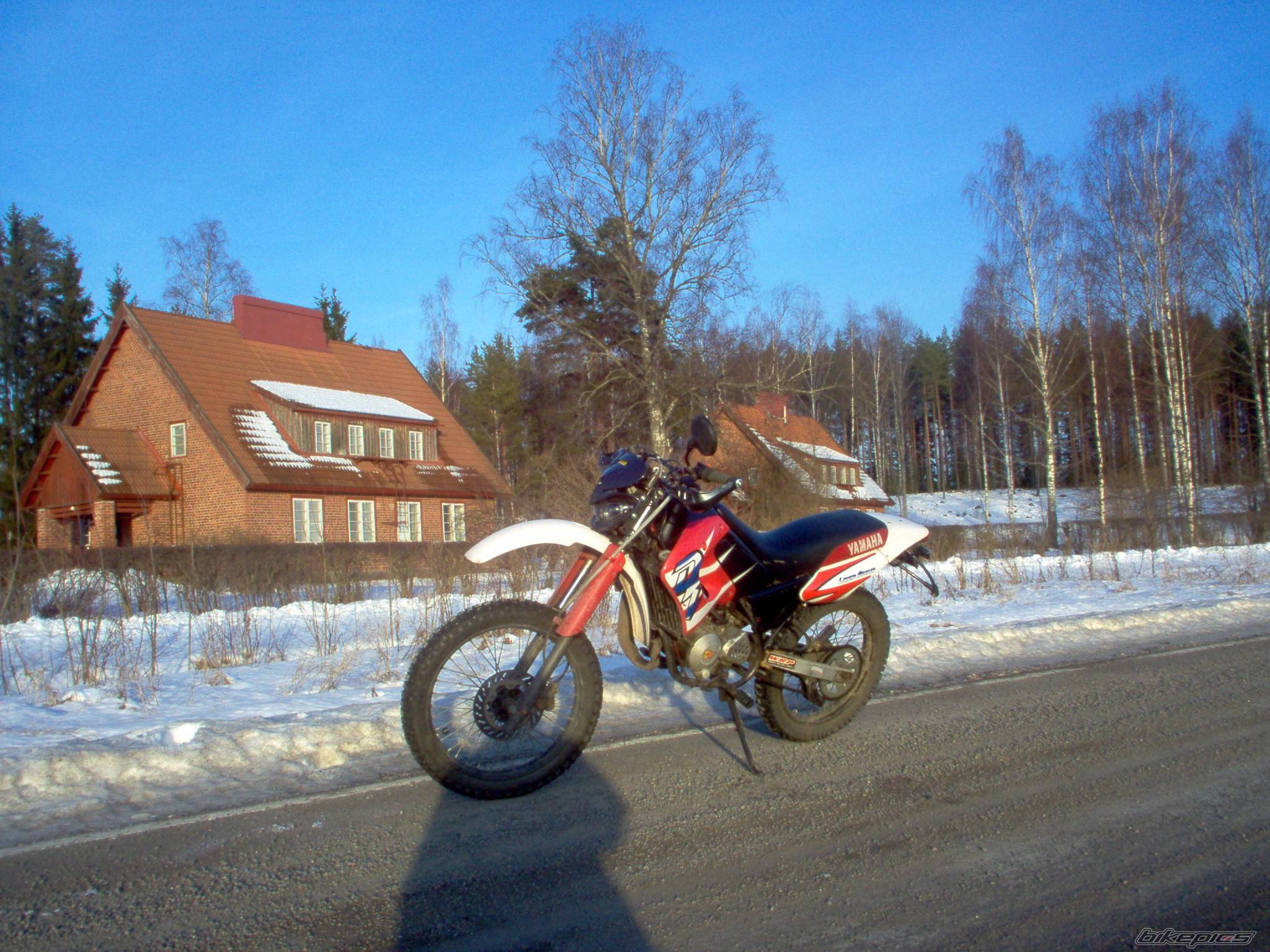 Photo 292663